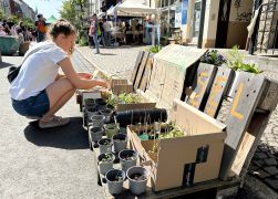 Damenviertel In Jena Tausende Besucher Beim Bunten Strassenfest 42